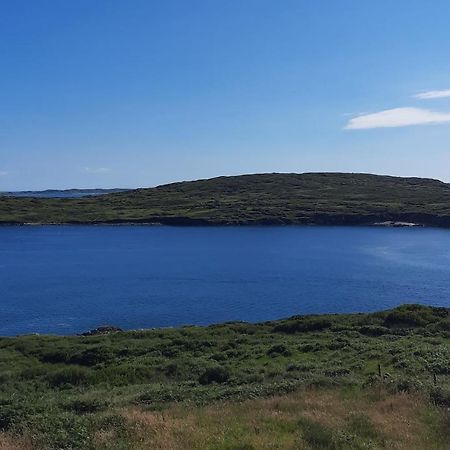Conneelys Cottage, Connemara, Clifden, H71Y096 Zewnętrze zdjęcie